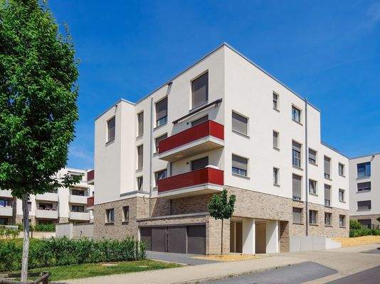 250617_Kleekamp_JS_102