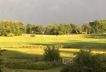 IMG-20260119-WA0000.jpg