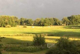 IMG-20260119-WA0000.jpg