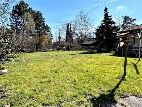 Linz Häuser, Linz Haus kaufen