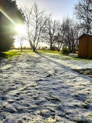 Garten.jpg