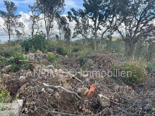 Grundstück 8 ha