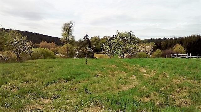 Bild 12