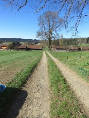 Zufahrt zur Kapelle 