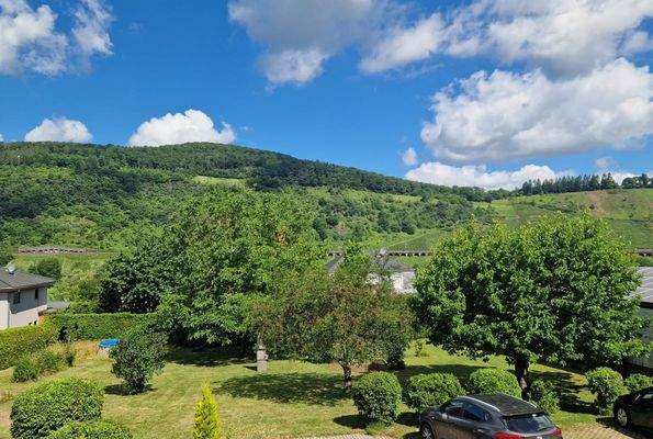 Grundstück Pünderich