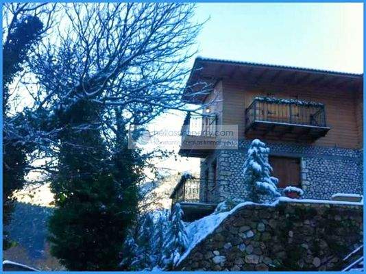 50fdadc78fe14e6d84ae0d2719946c96-original