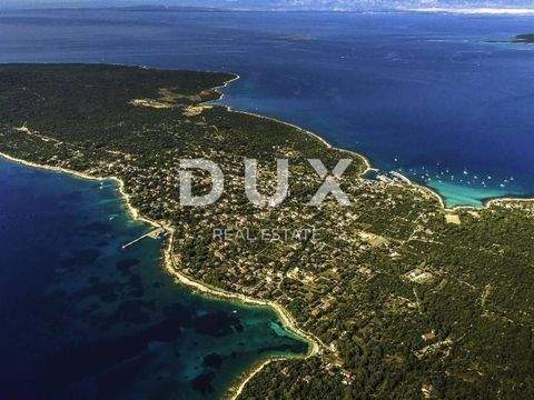 Silba - Olib - Premuda Bauernhöfe, Landwirtschaft, Silba - Olib - Premuda Forstwirtschaft