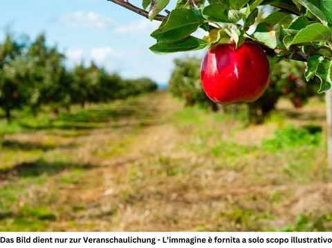 Terlan Grundstücke, Terlan Grundstück kaufen