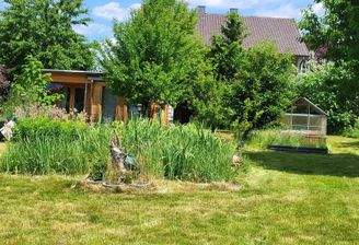 Garten mit Kiwi-, Birn-, und Kirschbaum