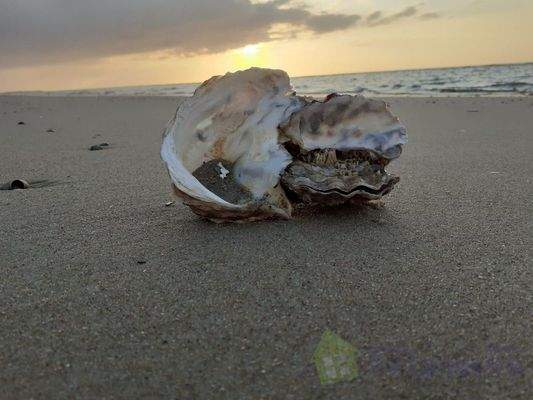 Norderney - Insel zum Verlieben