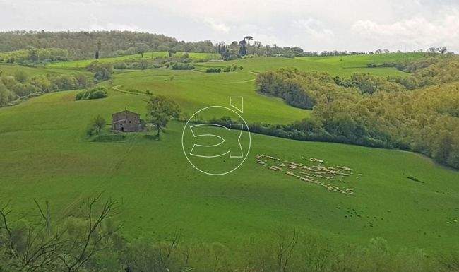 Großzügiges Anwesen in Panoramalage