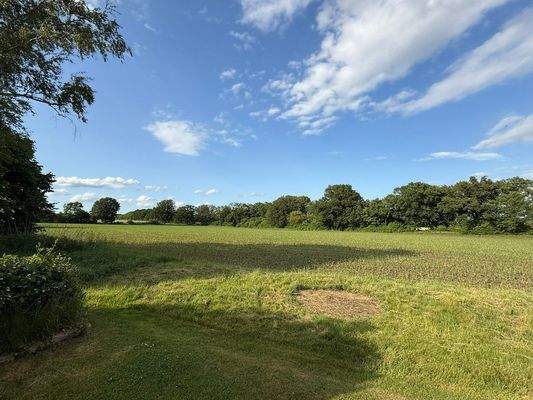 Bick aufs angrenzende Feld