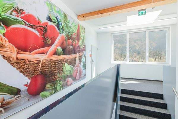 Diele / Stiegenaufgang 