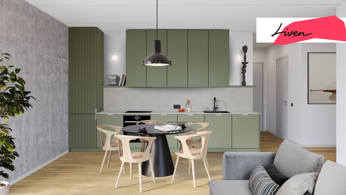 Einbauküche Typ Natur 2