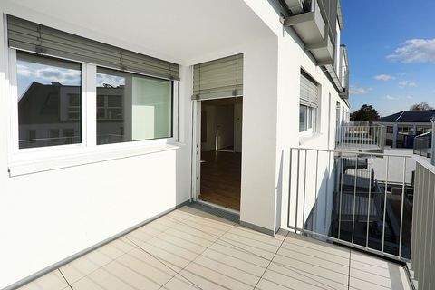 Wien Wohnungen, Wien Wohnung mieten