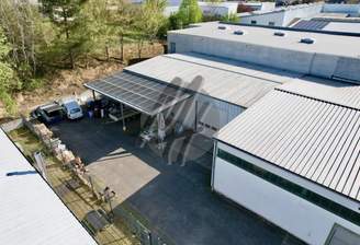 INFOS UNTER: 06171-586000