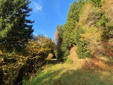 Gössering Bauernhöfe, Landwirtschaft, Gössering Forstwirtschaft