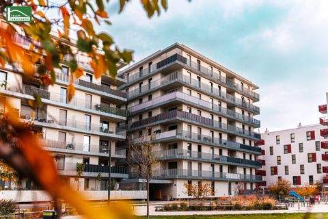 Wien Wohnungen, Wien Wohnung mieten