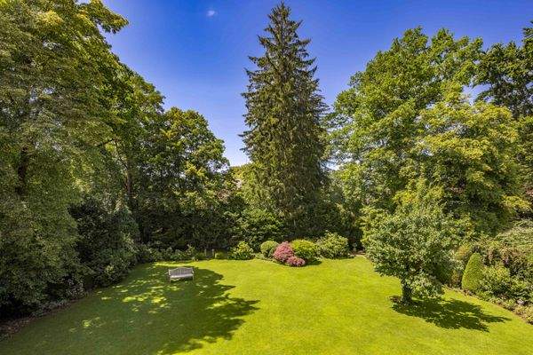 Ausblick in den Garten