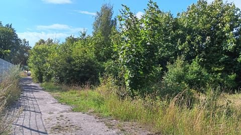 Saalfeld Grundstücke, Saalfeld Grundstück kaufen