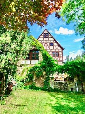 Schloss Fachwerkgiebel neu 2024 1.jpeg