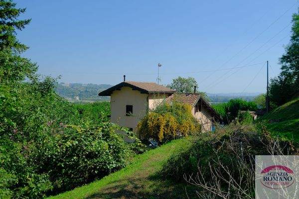 Rif 1369(Copy248).jpg