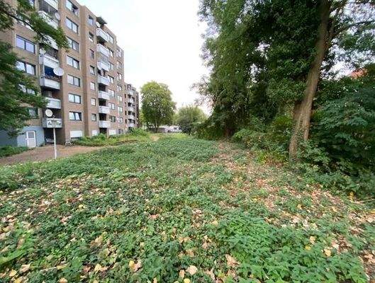 Grünfläche auf der Rückseite