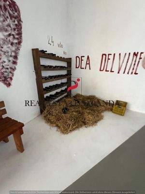 WhatsApp Image 2025-08-27 at 18.00.44 (1).jpeg