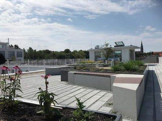 allgemeiner Dachgarten