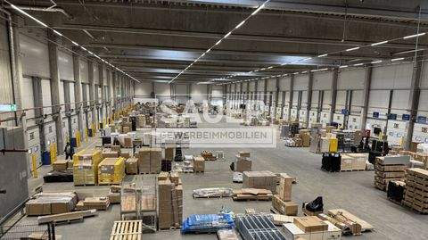 Oberkrämer Halle, Oberkrämer Hallenfläche