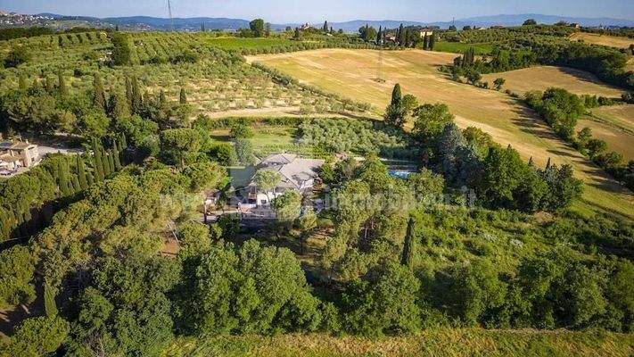 Villa-Toskana-Urlaub-Ferienhaus-Ferienwohnung-Traum-Oliven-Wein-Florenz-Siena-Assisi-Ruhe-Haus-Einfamilienhaus