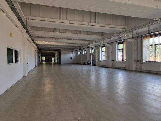 WhatsApp Bild 2025-07-07 um 12.13.09_75f37a57.jpg