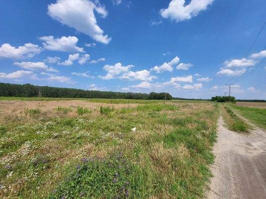 Örkény 48 ha linke Seite