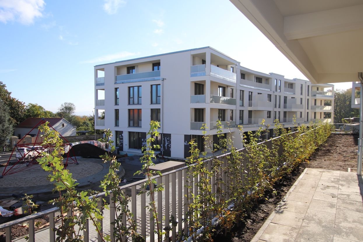 Wildosenterrassen.I