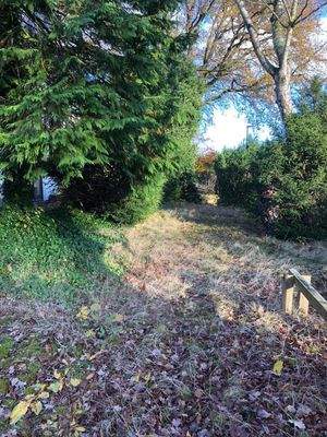 WhatsApp Bild 2025-11-20 um 14.55.49_451575e0.jpg