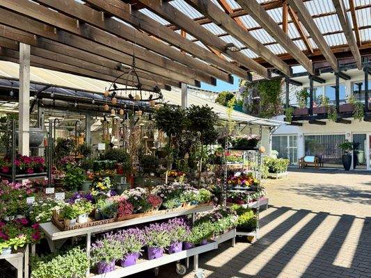 Aussenfläche Ladenlokal