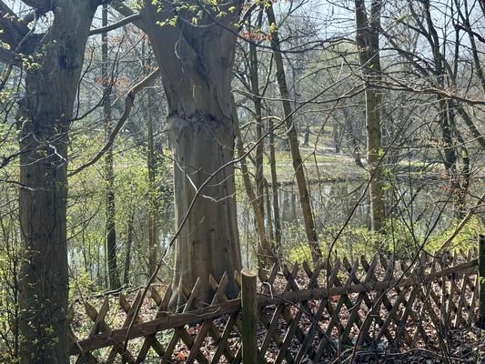 Blick zum Teich