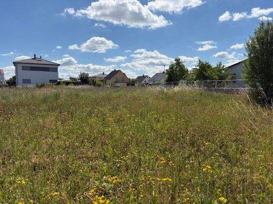 BG Langenzenn IMG_0516