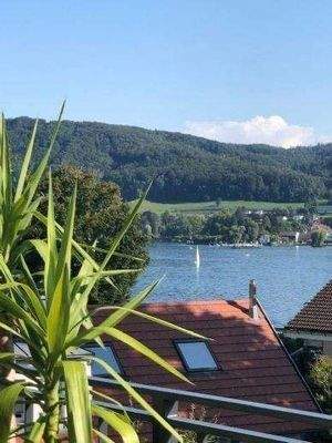 Aussicht zum Schweizer Ufer