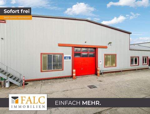 Wittenburg Halle, Wittenburg Hallenfläche