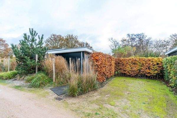 Premium Chalet Kaufen Schouwen Duin 14 Solarpaneele Elektrische Terrassenüberdachung €385.000005