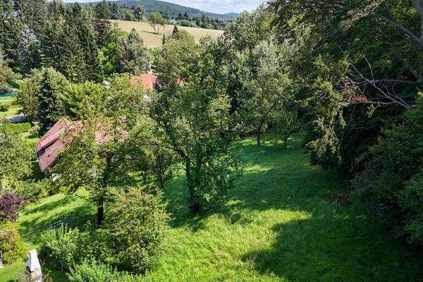 Luftbild nach Nordost