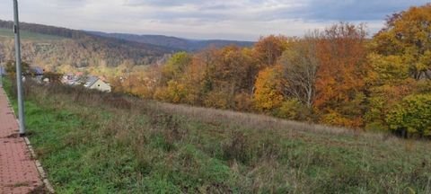 Wertheim Grundstücke, Wertheim Grundstück kaufen