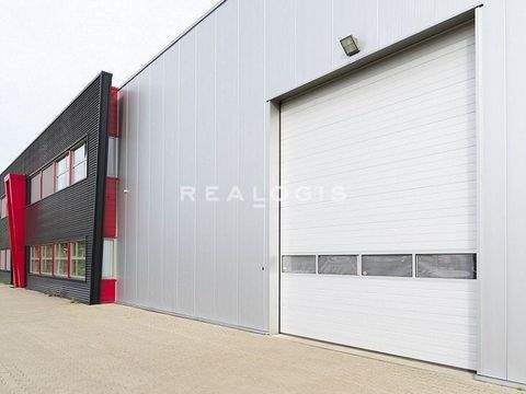 Pocking Halle, Pocking Hallenfläche