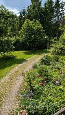 Blick vom Balkon auf dei Einfahrt.jpg