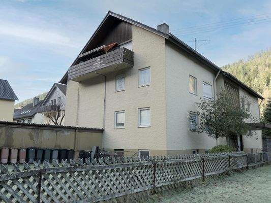 Hausansicht von der Enz aus