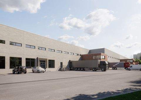 Pinneberg Halle, Pinneberg Hallenfläche