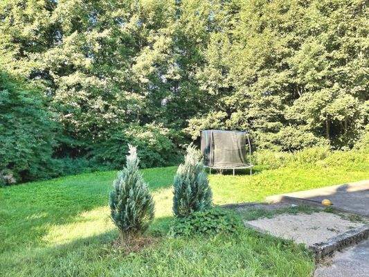 von viel Grün umgeben... der Garten im Sommer