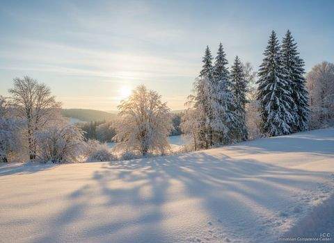 Simbach am Inn / Beingarten Häuser, Simbach am Inn / Beingarten Haus kaufen