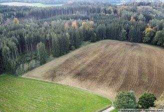 dji_fly_20241016_155812_304_1729087097019_photo_optimized